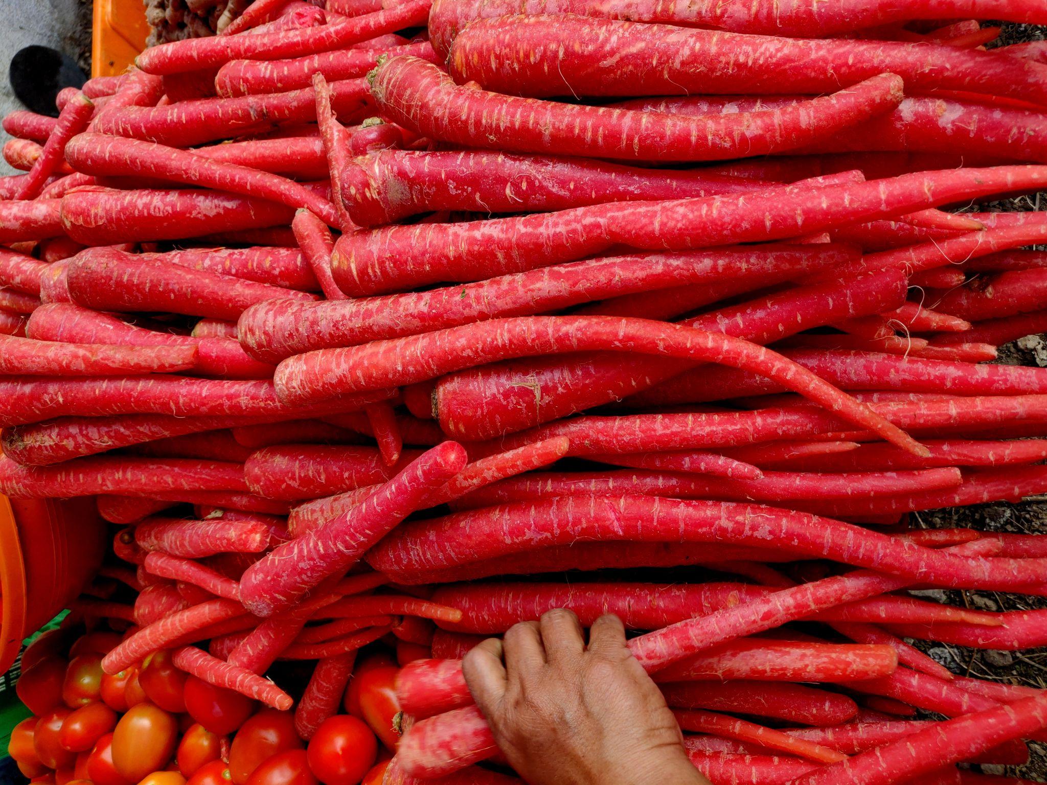 ADVANTA F1 Hybrid Country Red Carrot Seeds for Planting | High Germination | Non-GMO, Heirloom Variety | Sweet, Crunchy & Juicy Carrots | Ideal for Home Garden & Organic Farming (Gajar)